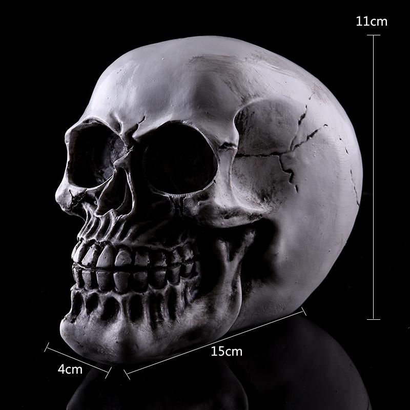 Homosapiens Skull Statue Figurine Human Skeleton Head Medical Skeleton #2
