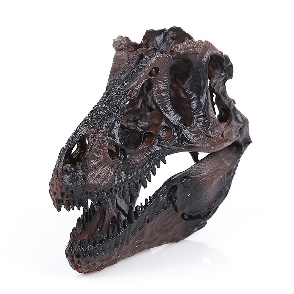 resin dinosaur skull