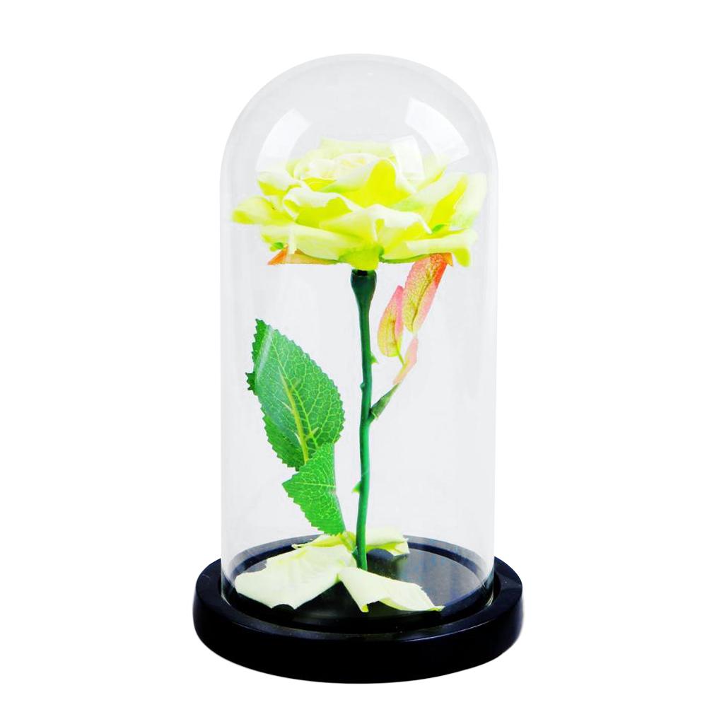 Glass Cover With Rose Flower Microlandscape Centerpiece Green