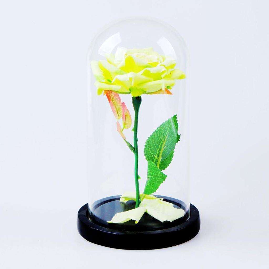 Preserved Flowers In Glass Dome Philippines 100 Real Preserved Rose
