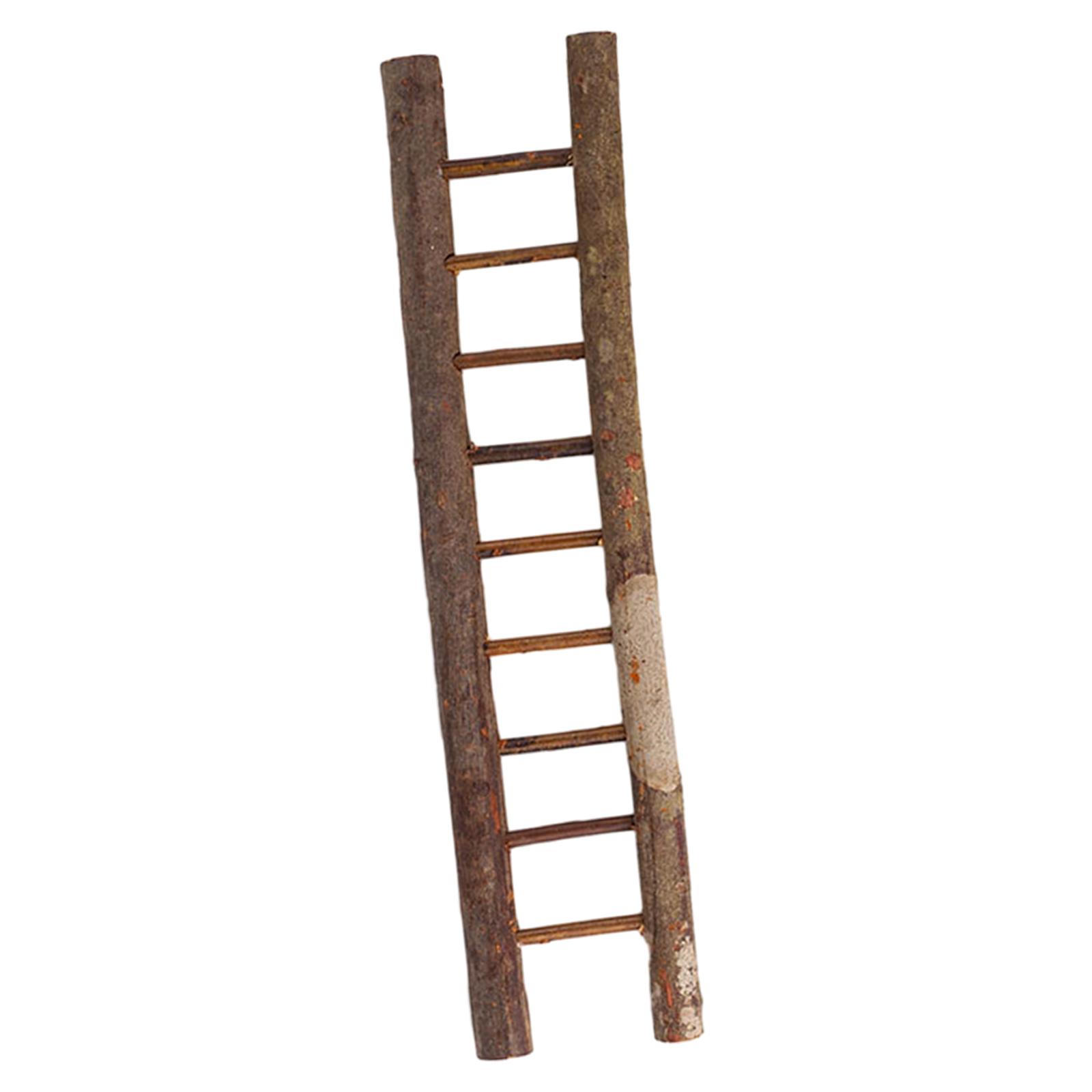 Mini Christmas Ladder Photo Prop