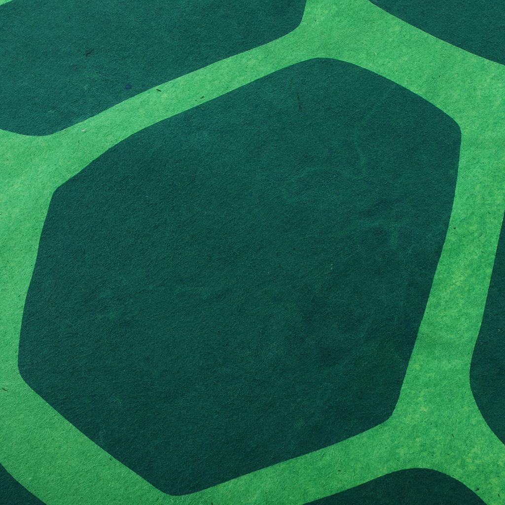 Kids Turtle Costume Nonwovens Fabric Animal Outfit Party Fancy Dress