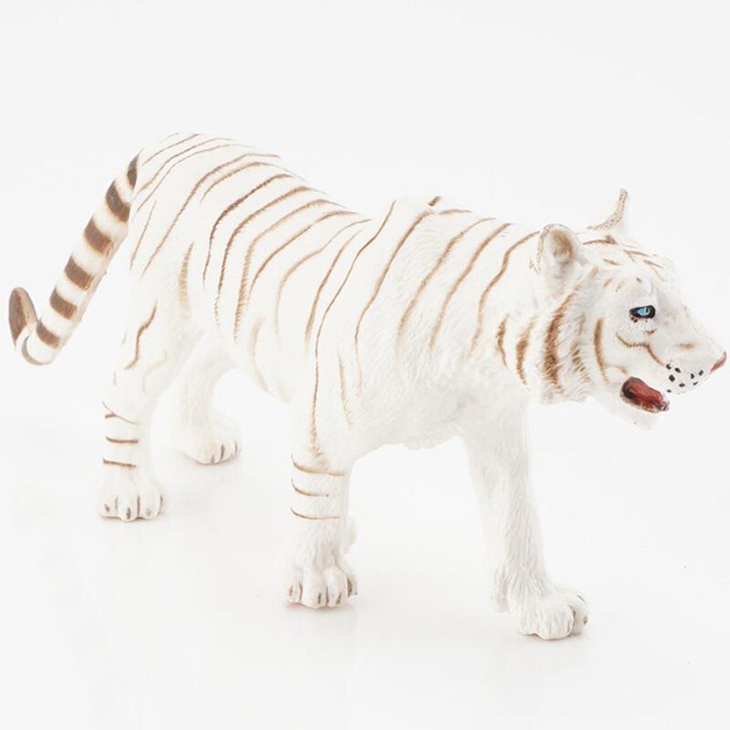 Stimulation Animal Figures Wild Animal Models Panthera Tigris