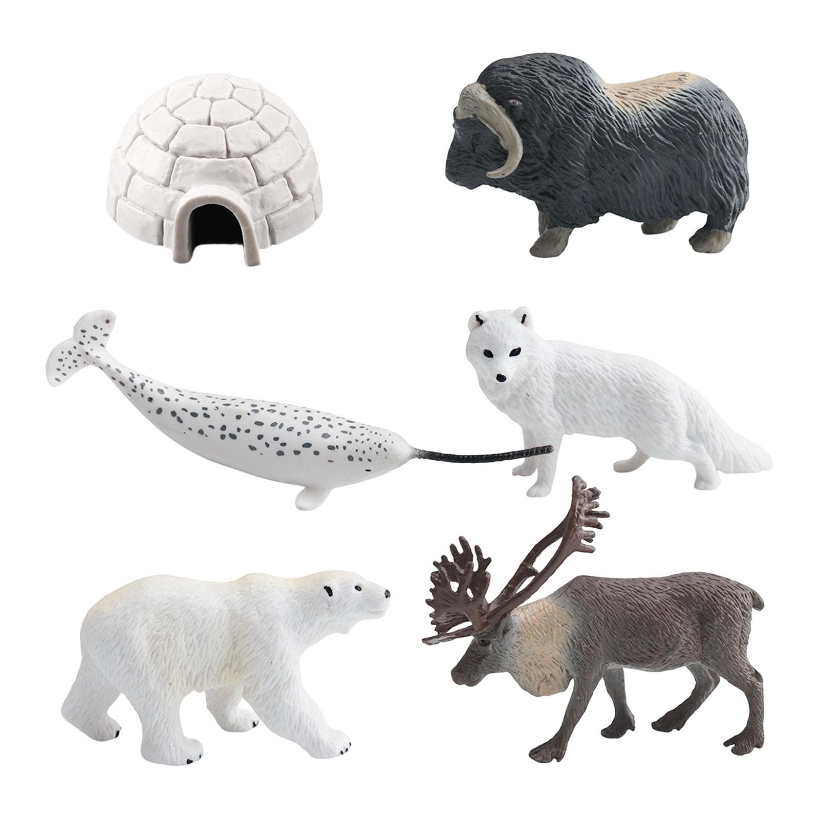 Animal Model Toy 6x