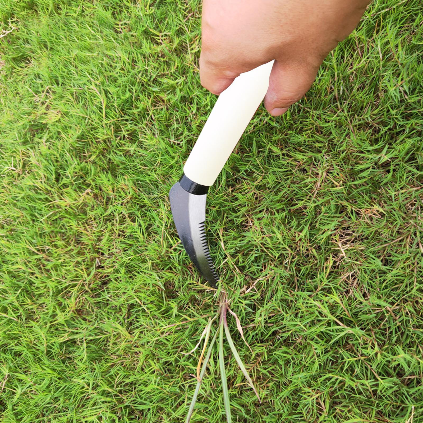Grass Weeding Knife Stainless Steel Weeding Sickle for Terrace Lawn Driveway