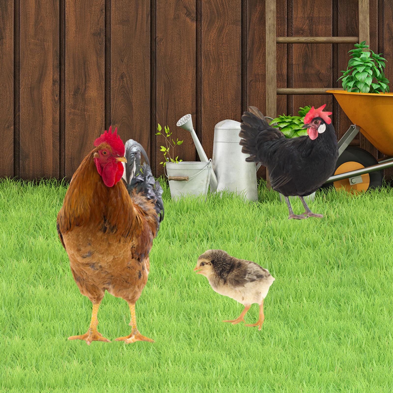 3x Chicken Statue Stakes Lifelike Chicken Statue for Home Backyard Farmhouse