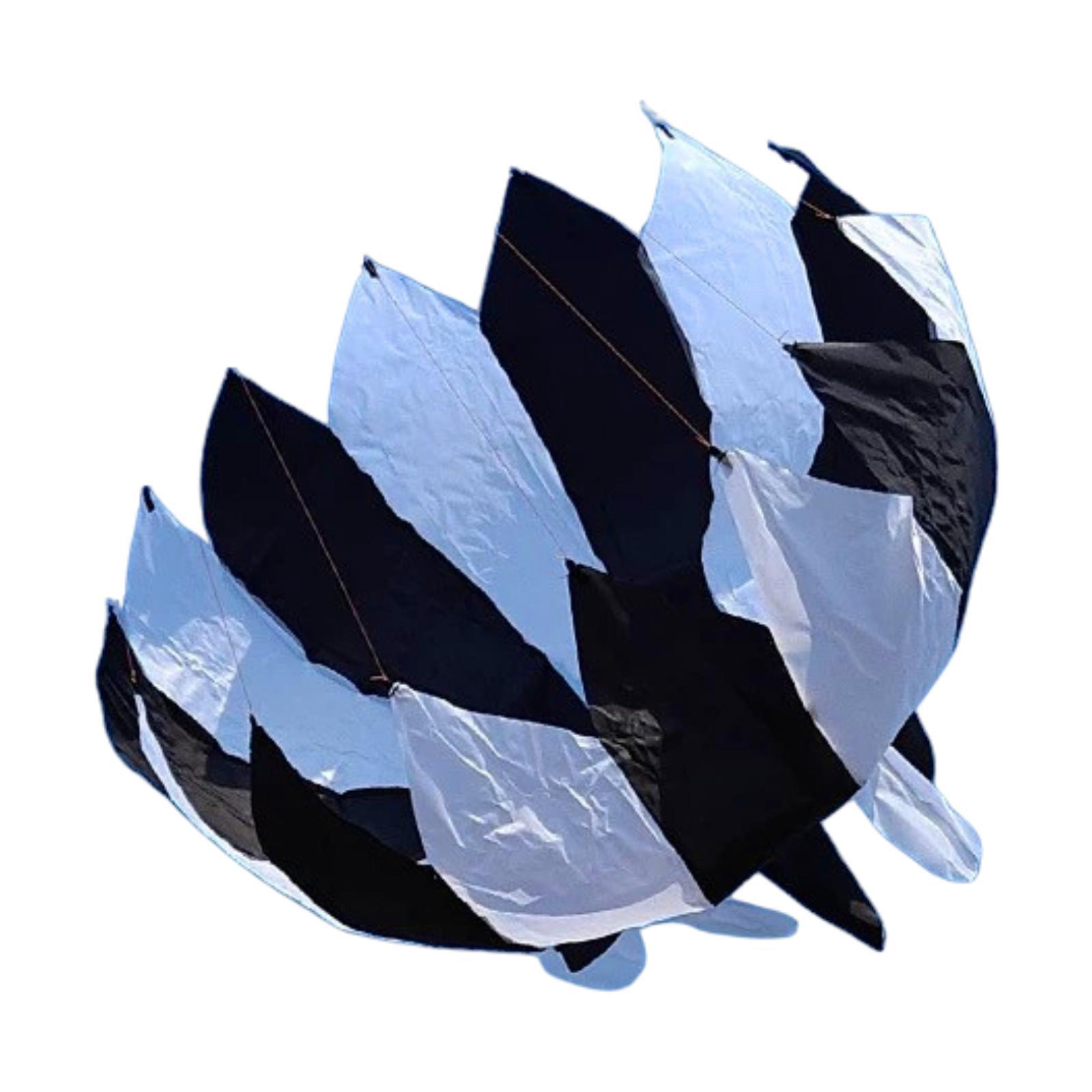 Parafoil Kite Black White