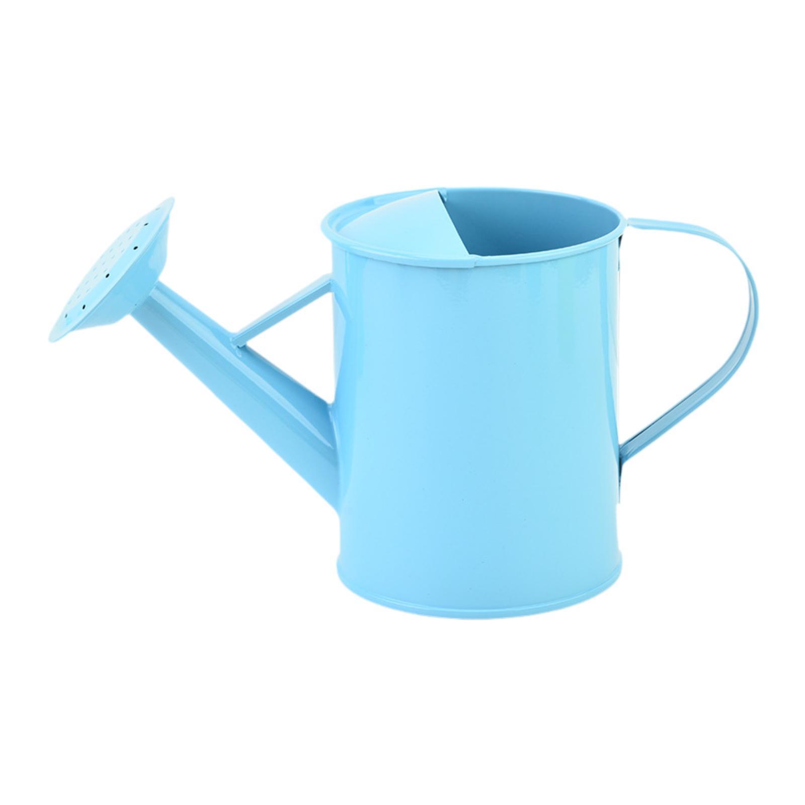 Multifunctional Watering Can