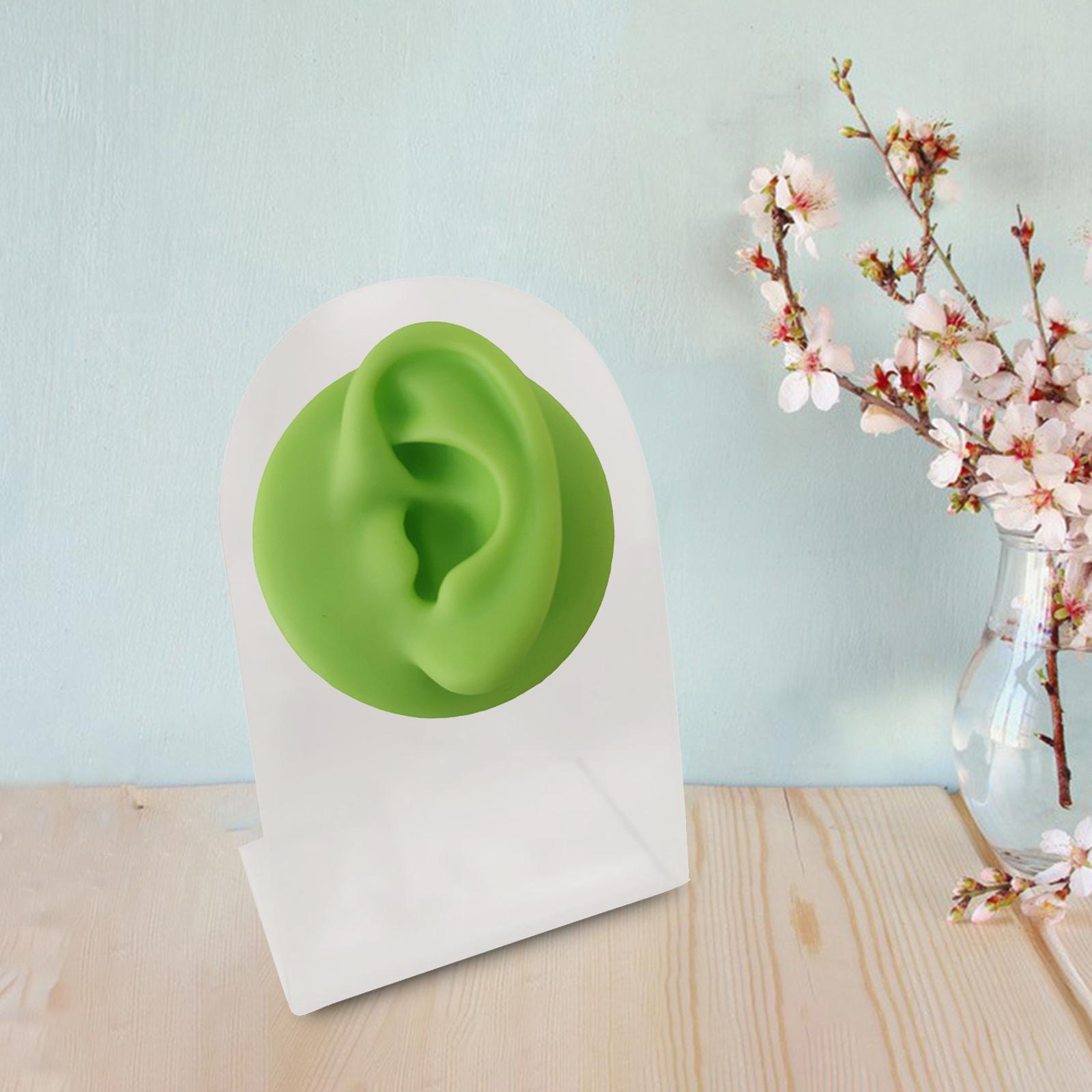 Silicone Ear Model Body Part Imitation Artificial Practice  Green Left