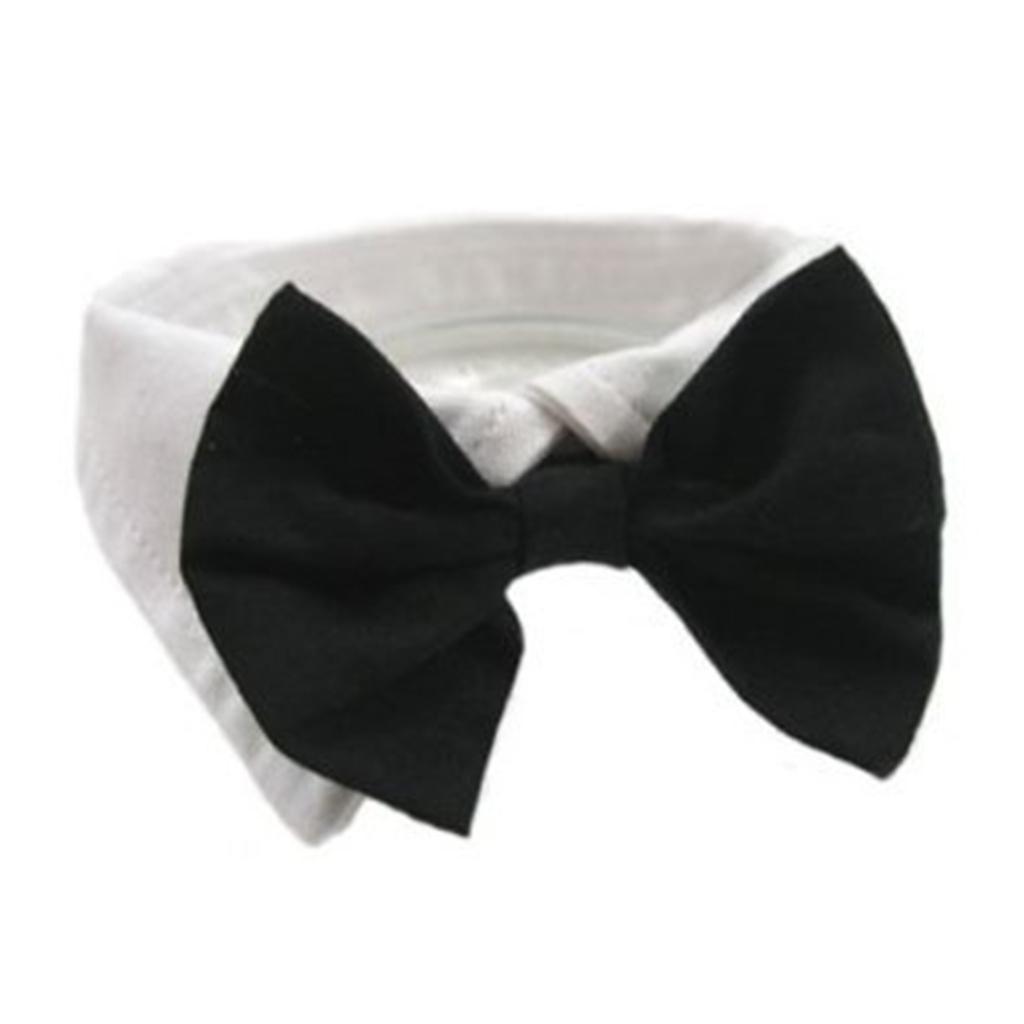 1 Stück Fliege Kragen Krawatte Bowknot Kleidung für Haustier Hunde