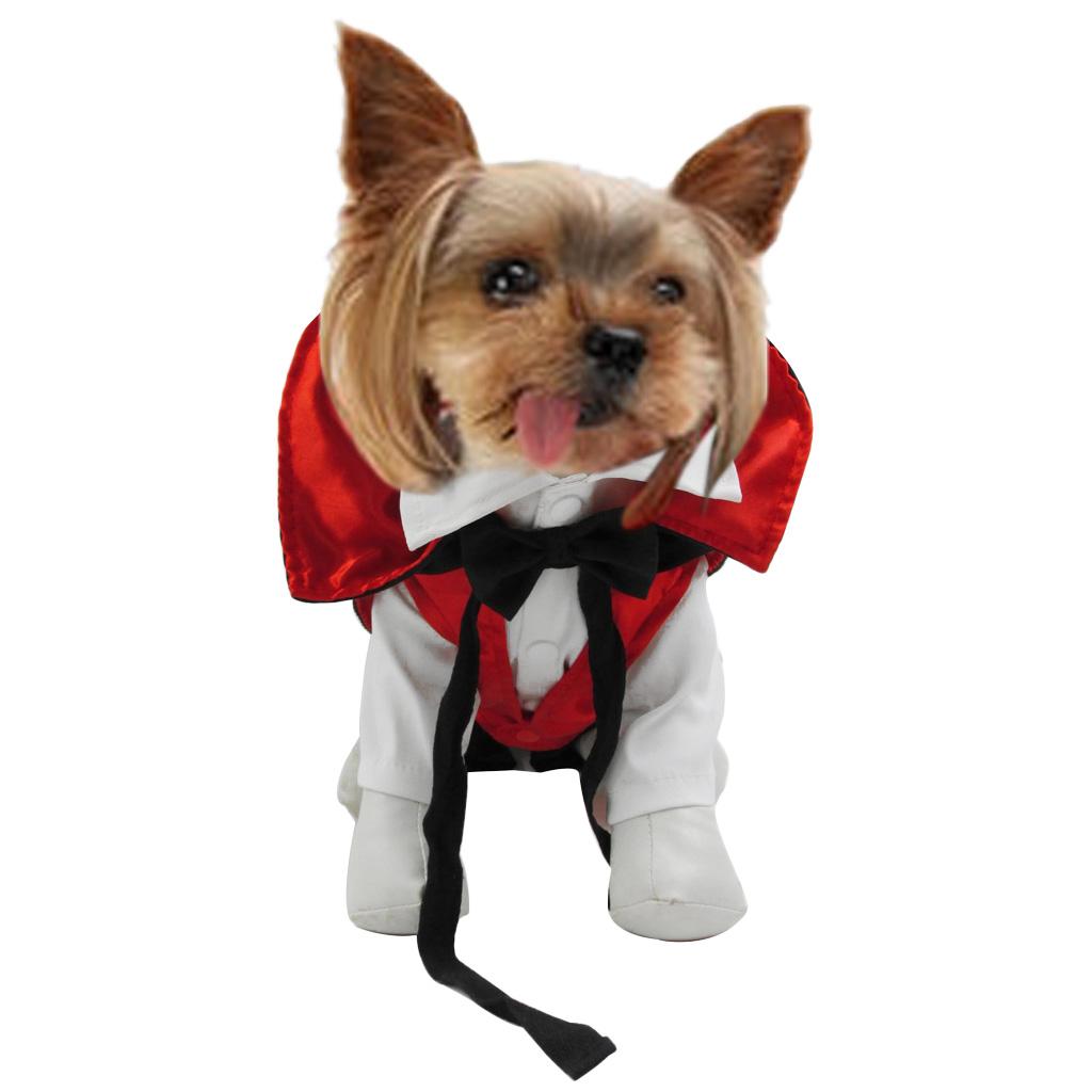 Beautiful Dog  Cloak Halloween  Festival Party Winter 