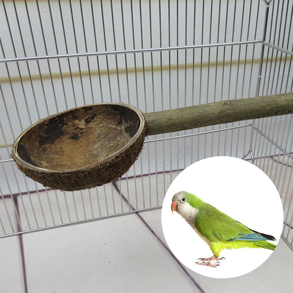 Bird Chew Perch Stand Stick with Coconut Shell Bowl Hamster Rat Feeding