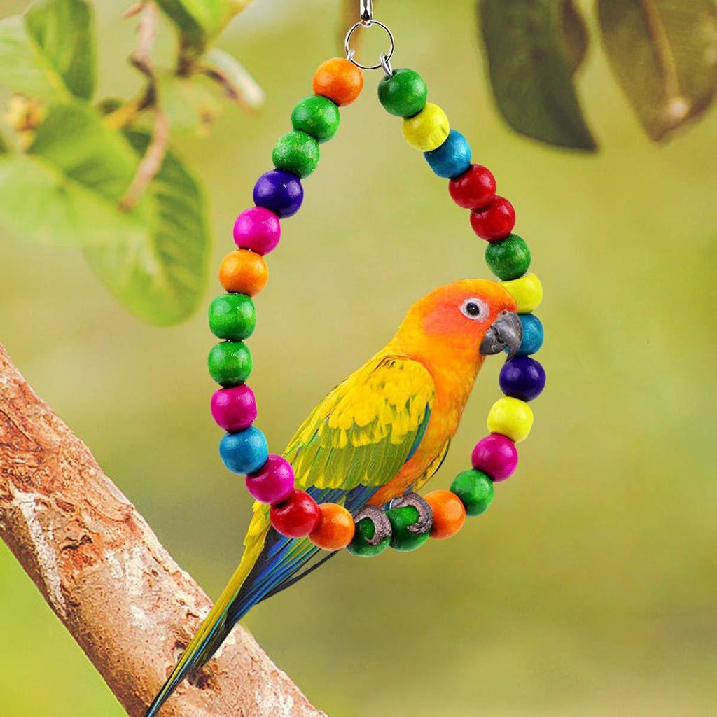 Parrot toy set