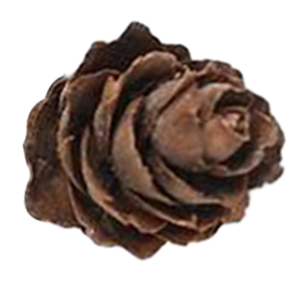 Natural Pinecones Pistachio Pine Cones Ornaments Gift Pine Cone - S