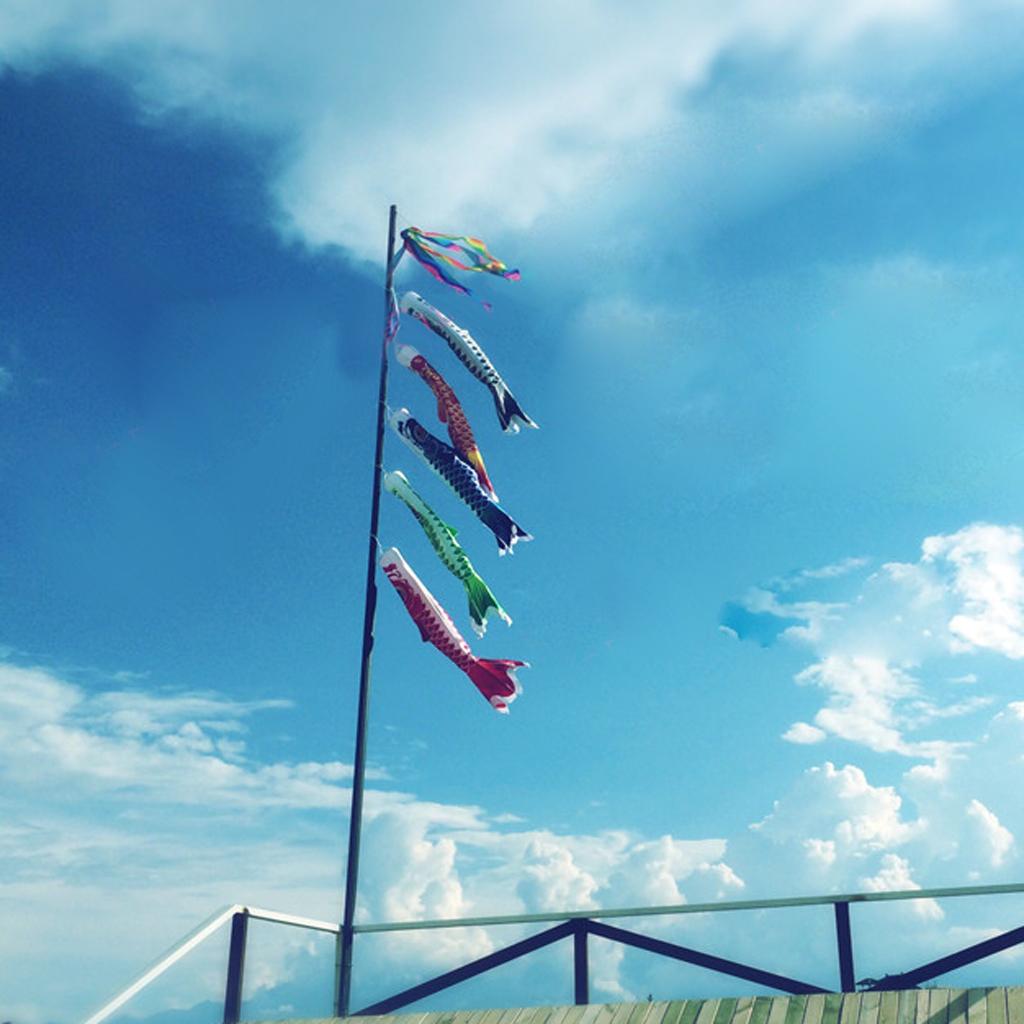 Japanische Windsack Karpfen Flagen Koi Nobori Fischwind Flagge Schwarz 150cm 