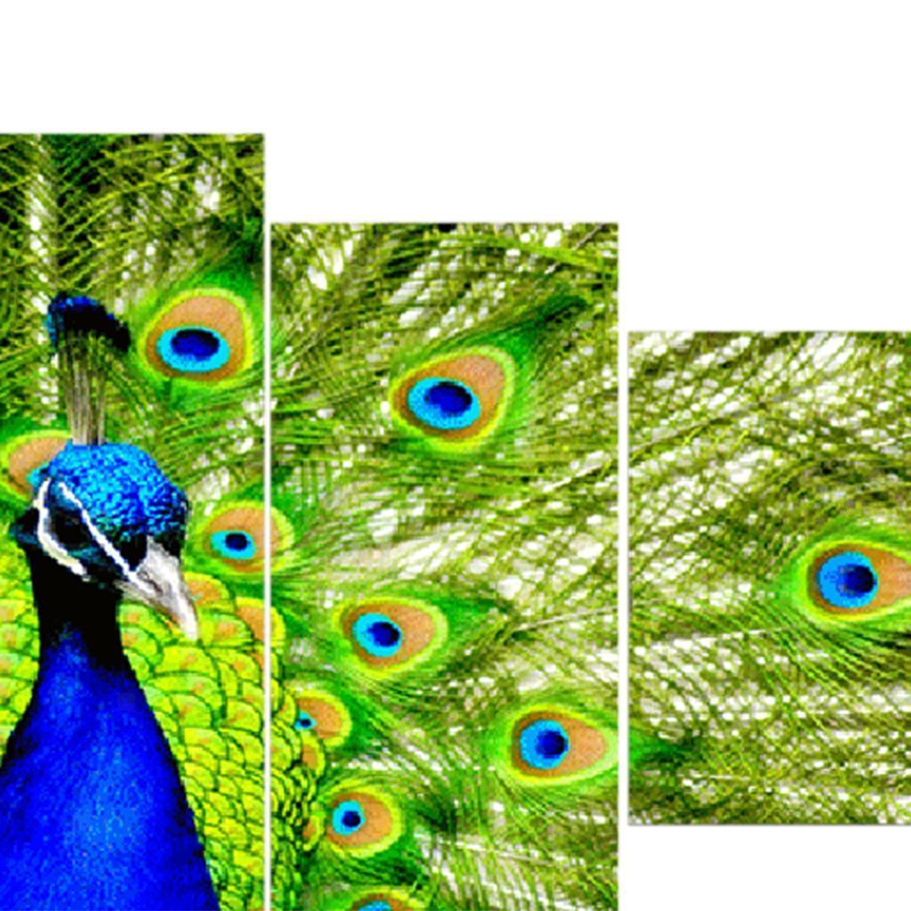 Tiere Wandbilder Kunstdruck Leinwand Bilder Set - Bild 6 von 9