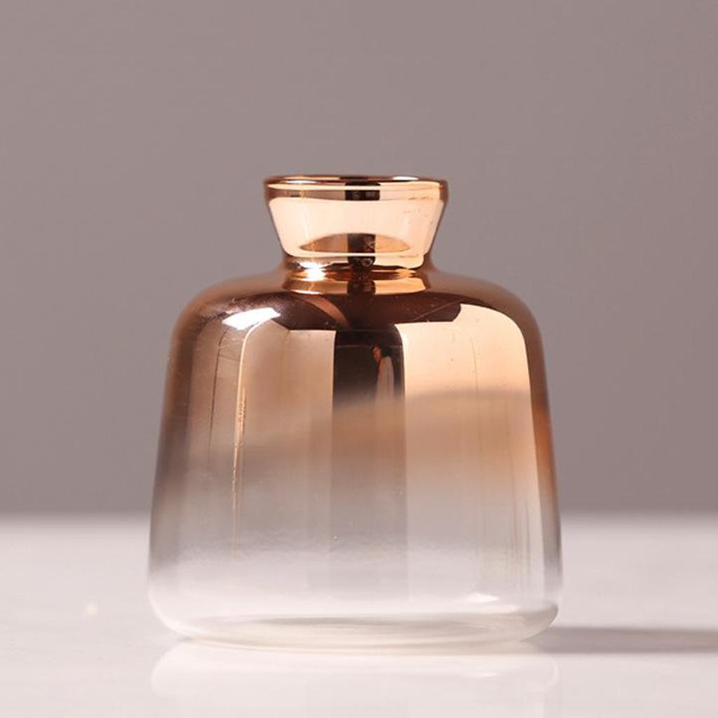 2pcs Glass Planter Vase Flower Plant Pot Terrarium Container Table Ornament