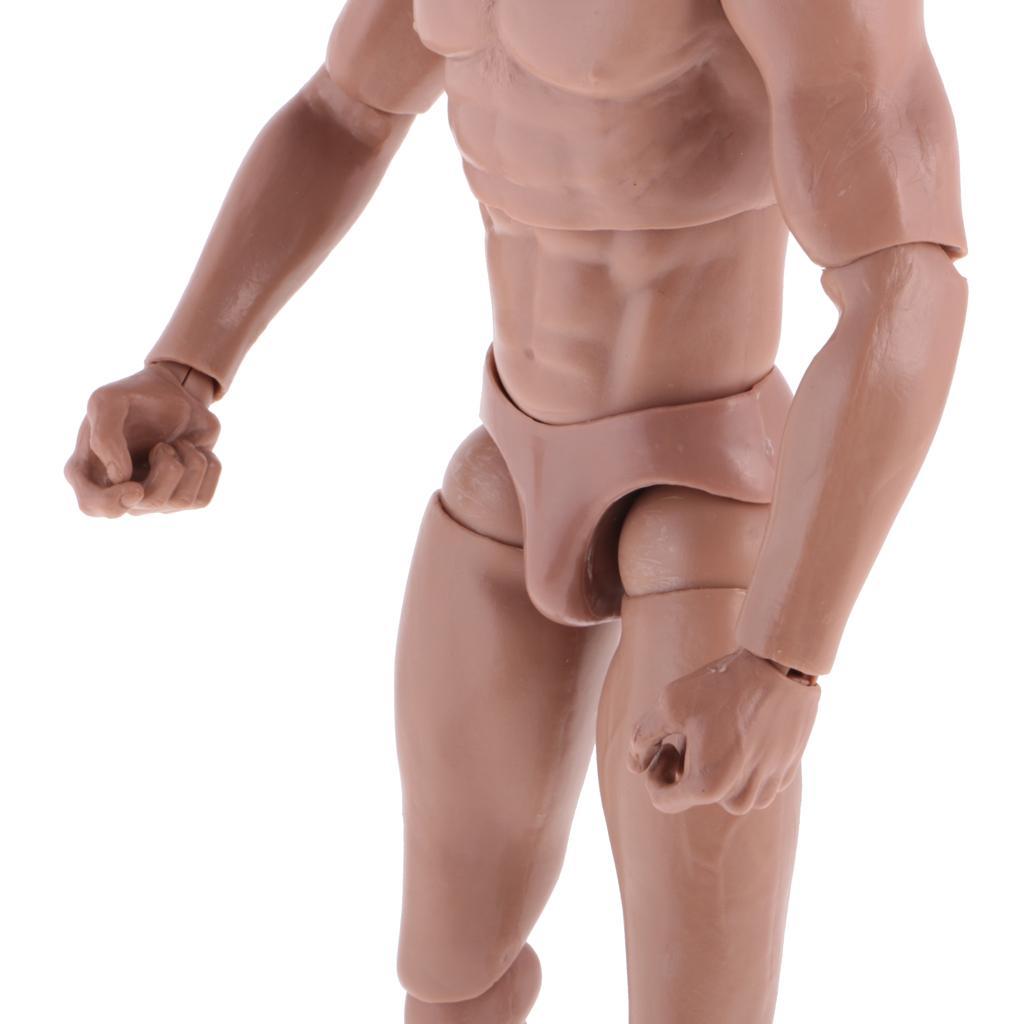 1/6th Action Figure Muscular Muscle Male Nude Body for Hot 