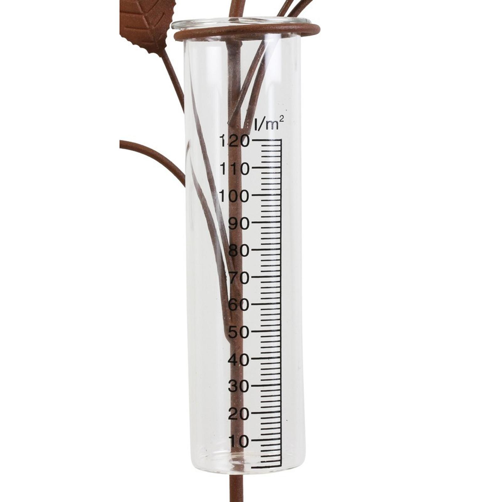 Rain Gauges Bird Rain Gauge for Measuring Precipitation Backyard Garden