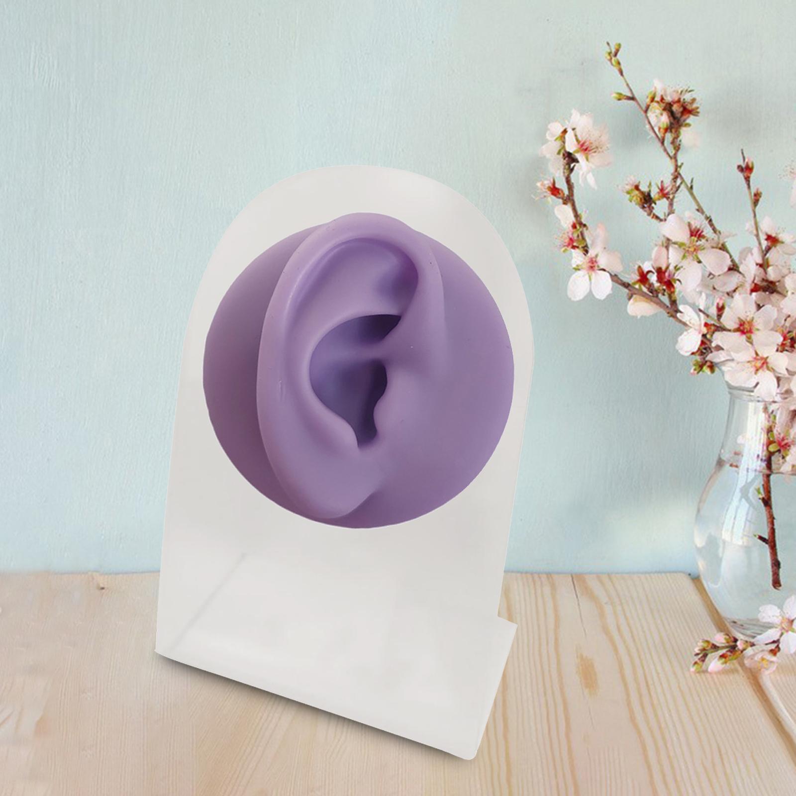 Silicone Ear Model Body Part Imitation Artificial Practice  Purple Right
