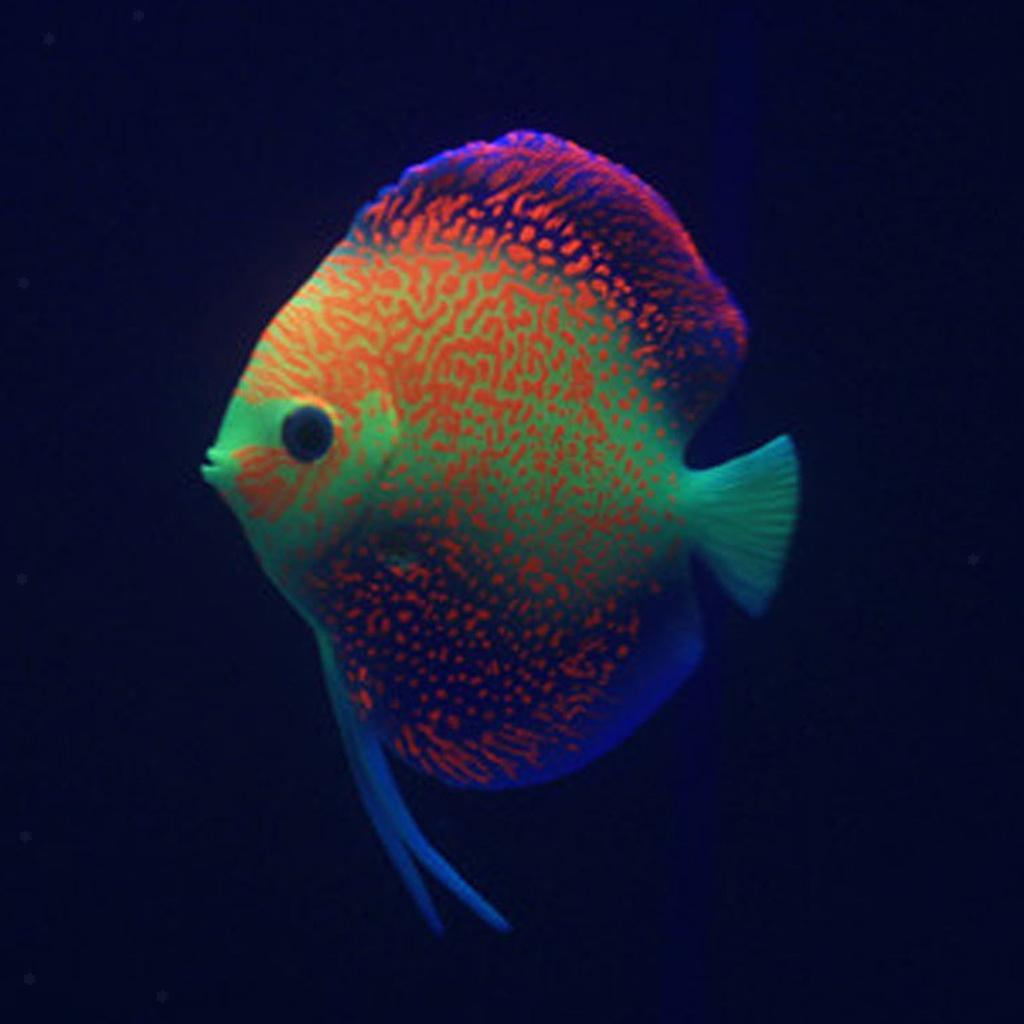 Indexbild 8 - Künstliche Fische Aquarium Fisch Tank Dekoration