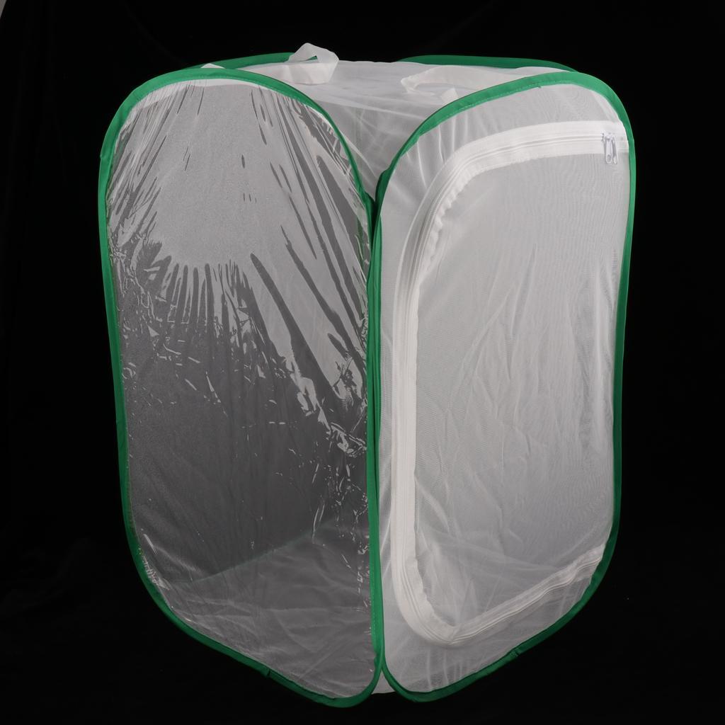 Foldable Insect and Butterfly Breeding Net Terrarium Mesh Cage Green+White 