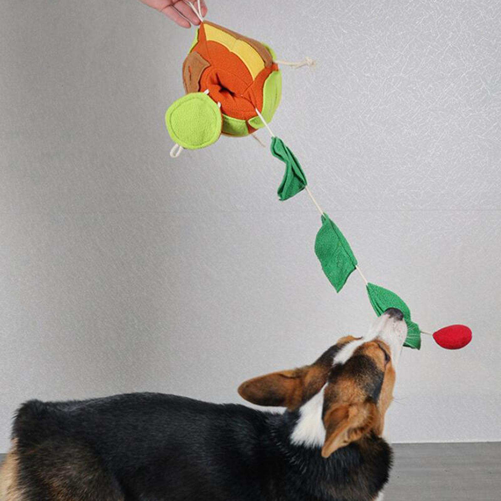 Dog Chewing Squeaky Toy Sniffing Leakage Ball Teething Clean Orange Green