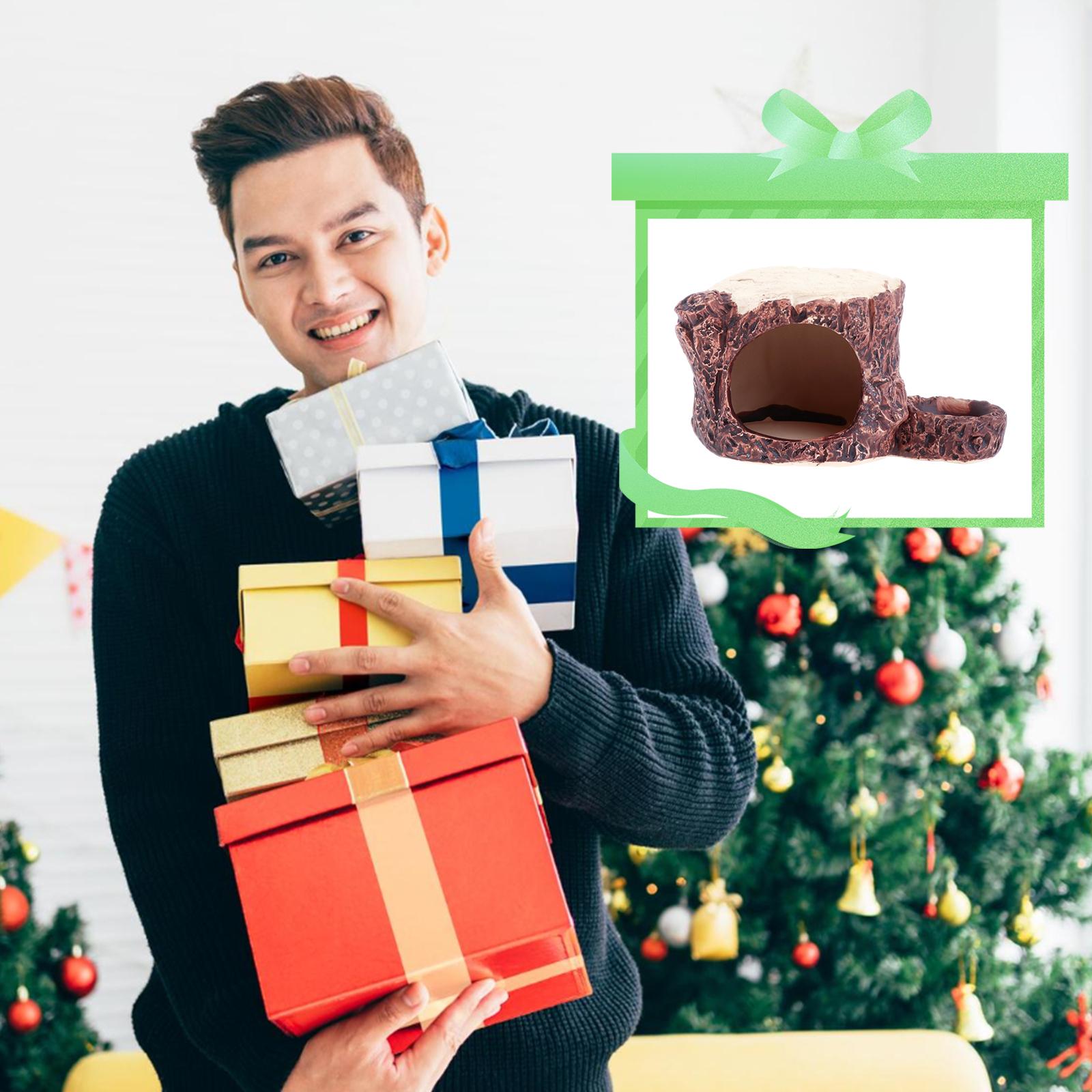 Ceramic Cave Bed Habitat Hut Rats Gerbils Landscaping Hamster Houses Hideout