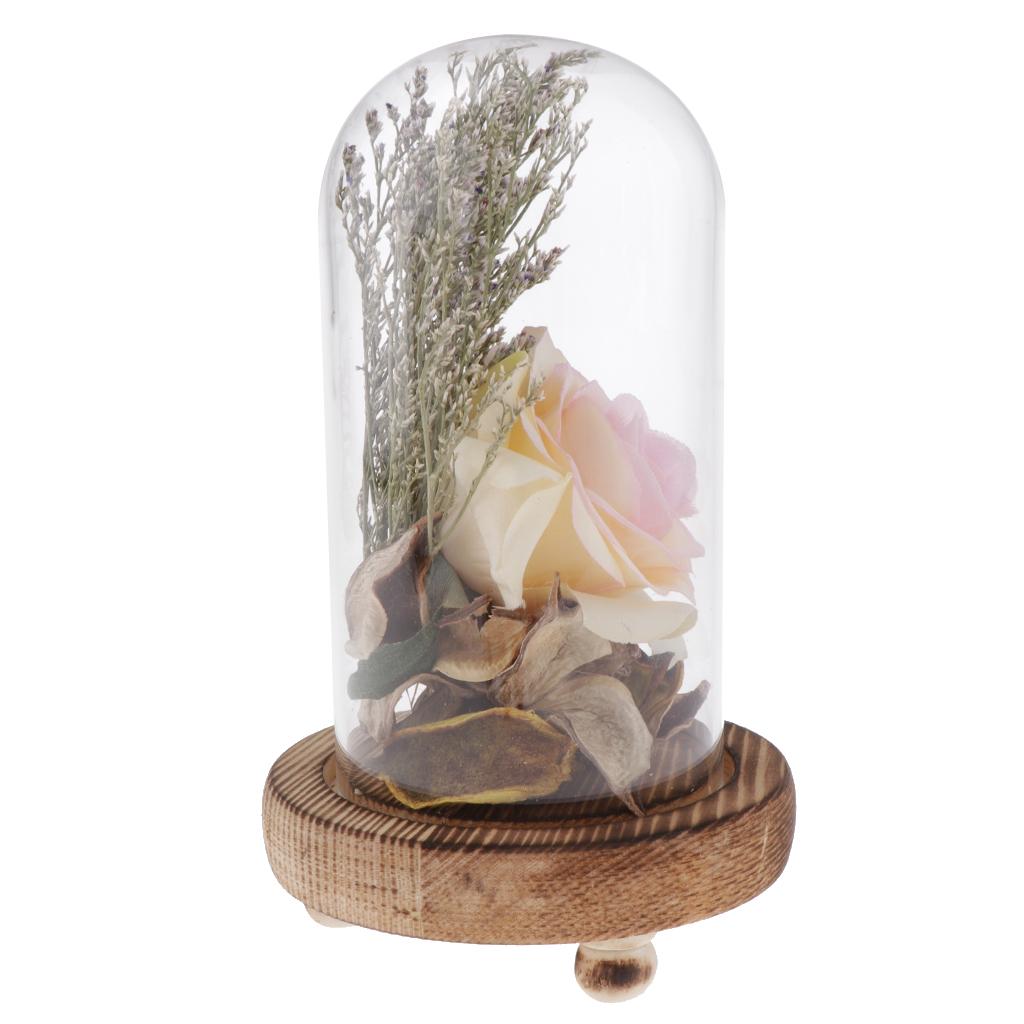 Glass Display Cloche Bell Dome Flower Immortal Preservation Vase Light Pink