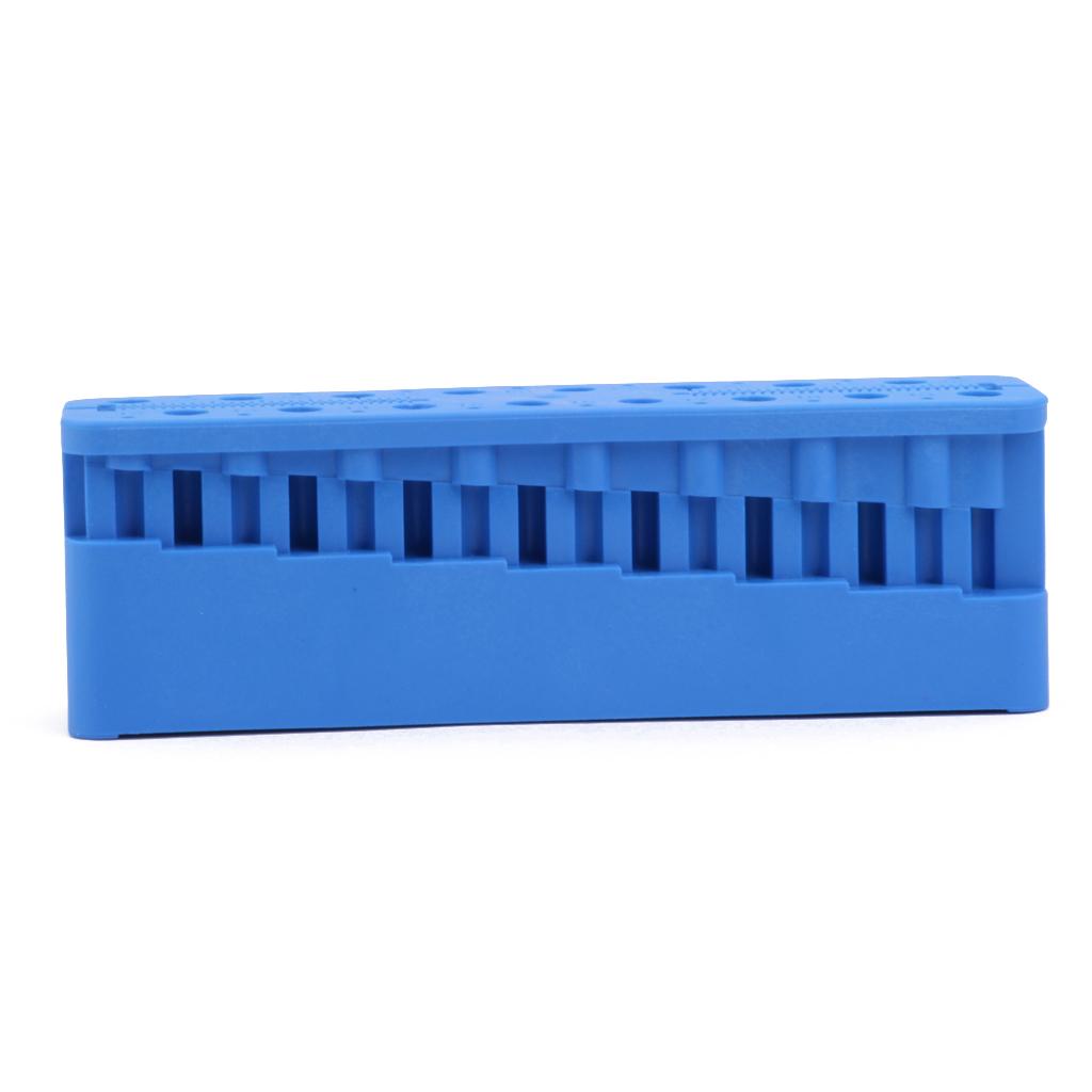Professional Dental Measuring Block K-File H-File Holder Ruler Blue