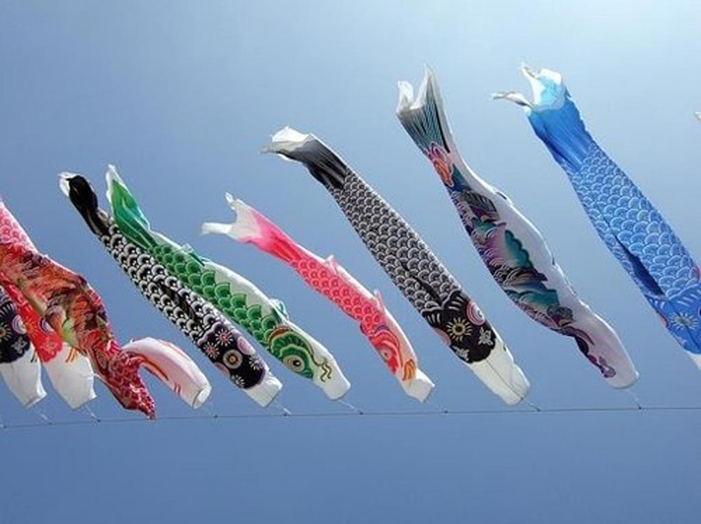 Farben und Größe Auswählbar Karpfen Flagge 15 cm 150cm 8 Stück Japanische Windsock Windspiel Koi Nobori 50cm 
