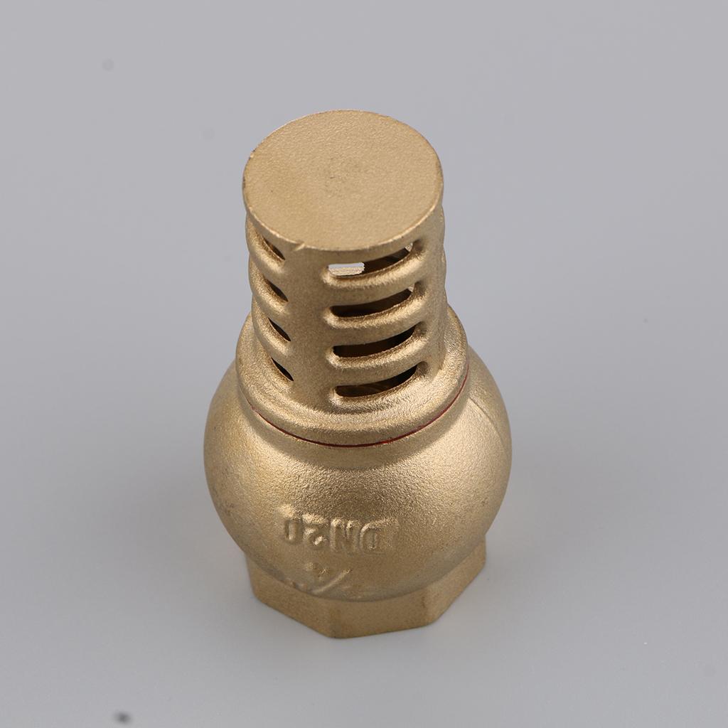 Heavy Duty Brass Foot Valve Female Threaded Water Pump Bottom Valve DN20