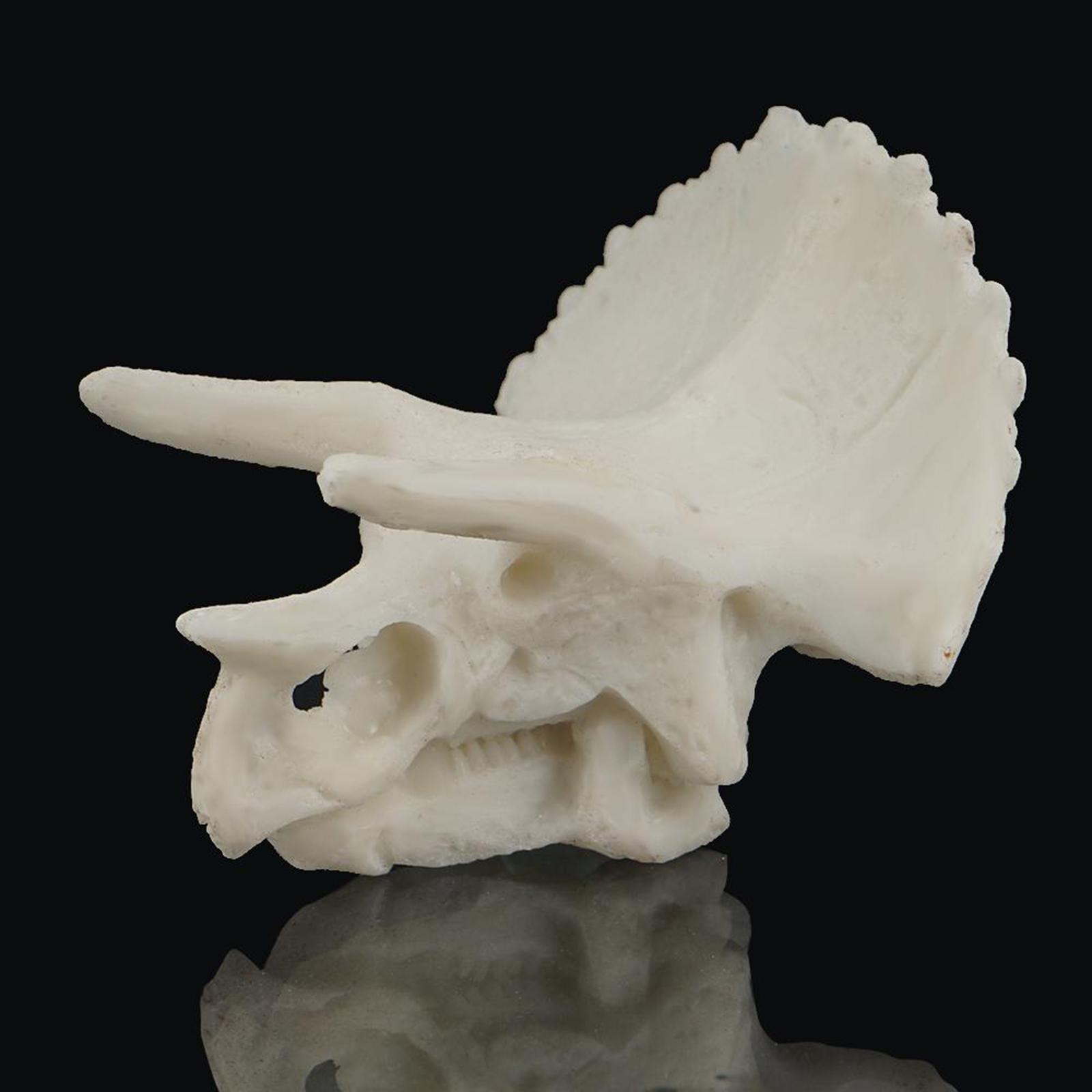 Aquarium Decoration Resin Skull Fish Tank Decor Fishes Cave triceratops