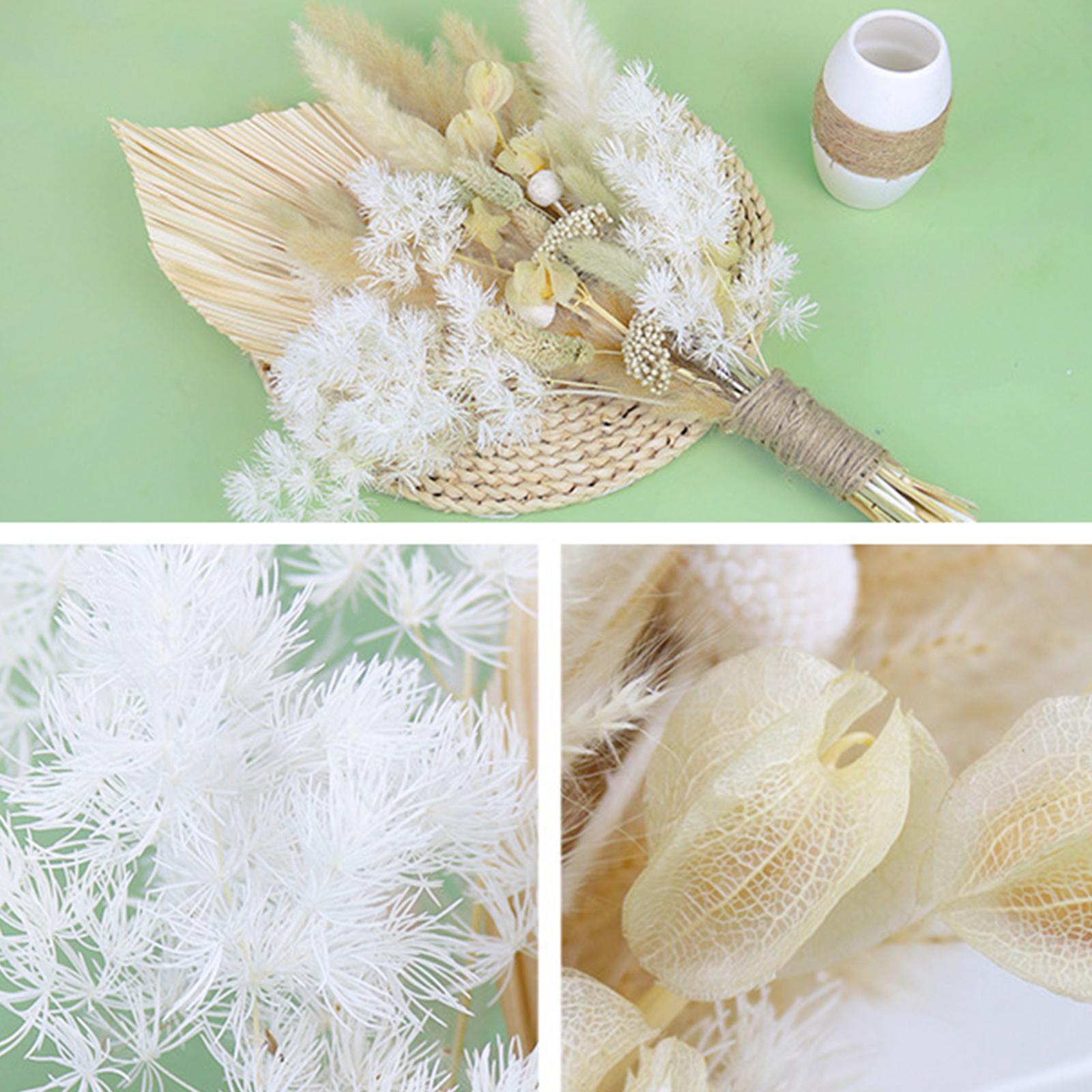 Artificial Pampas Grass Natural Plants Branches Palm Leaves for Living Room