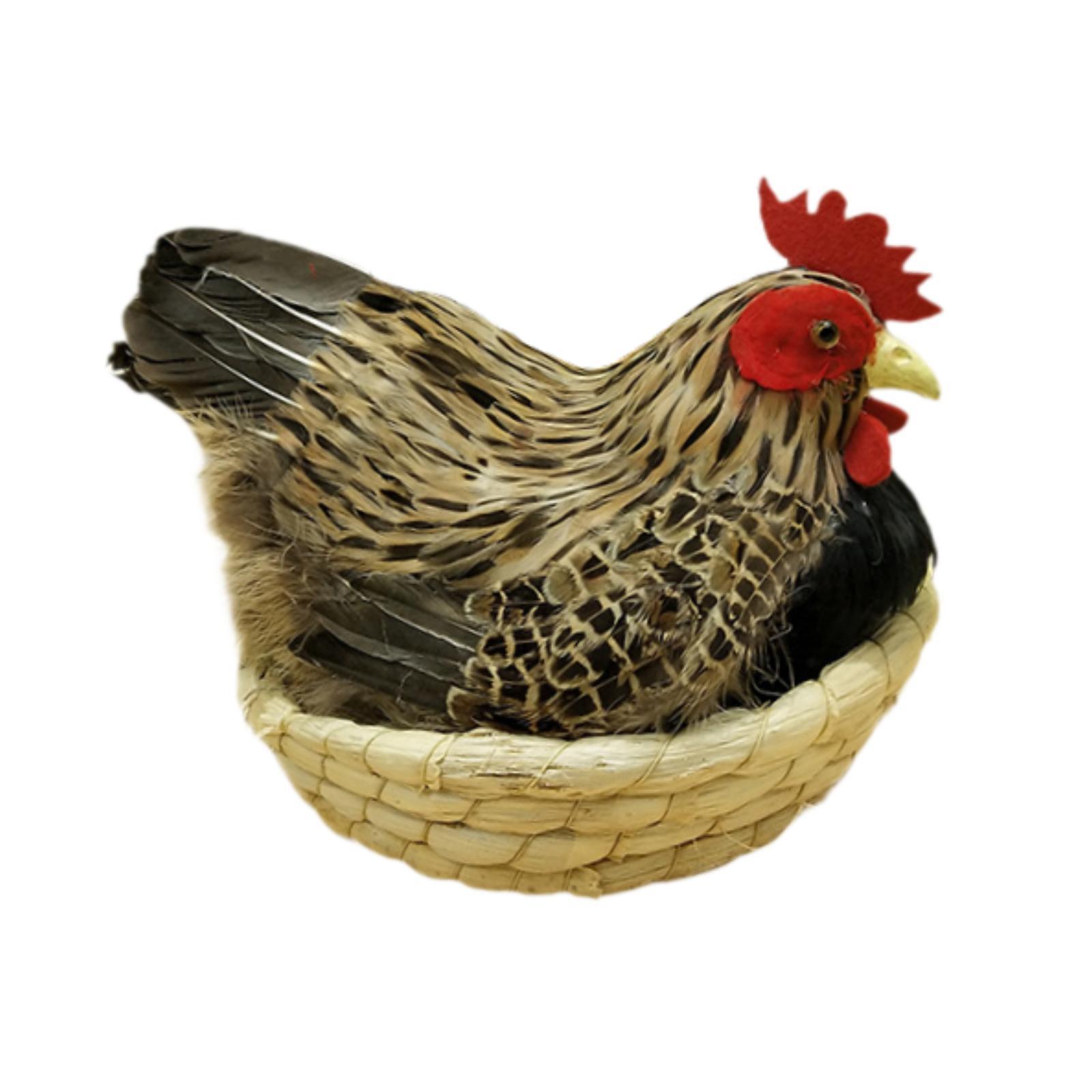 Chicken Simulation Model Artificial Feather
