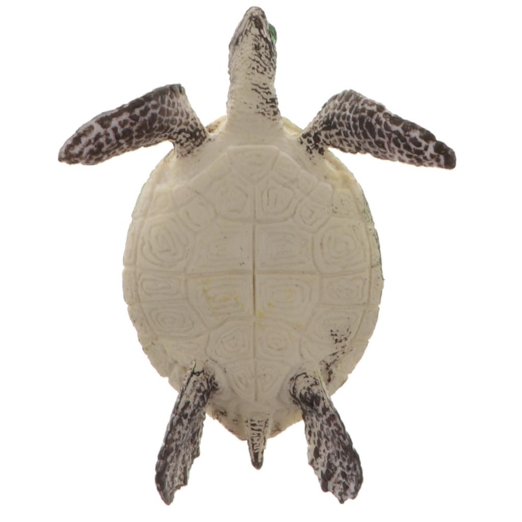 realistic turtle toy