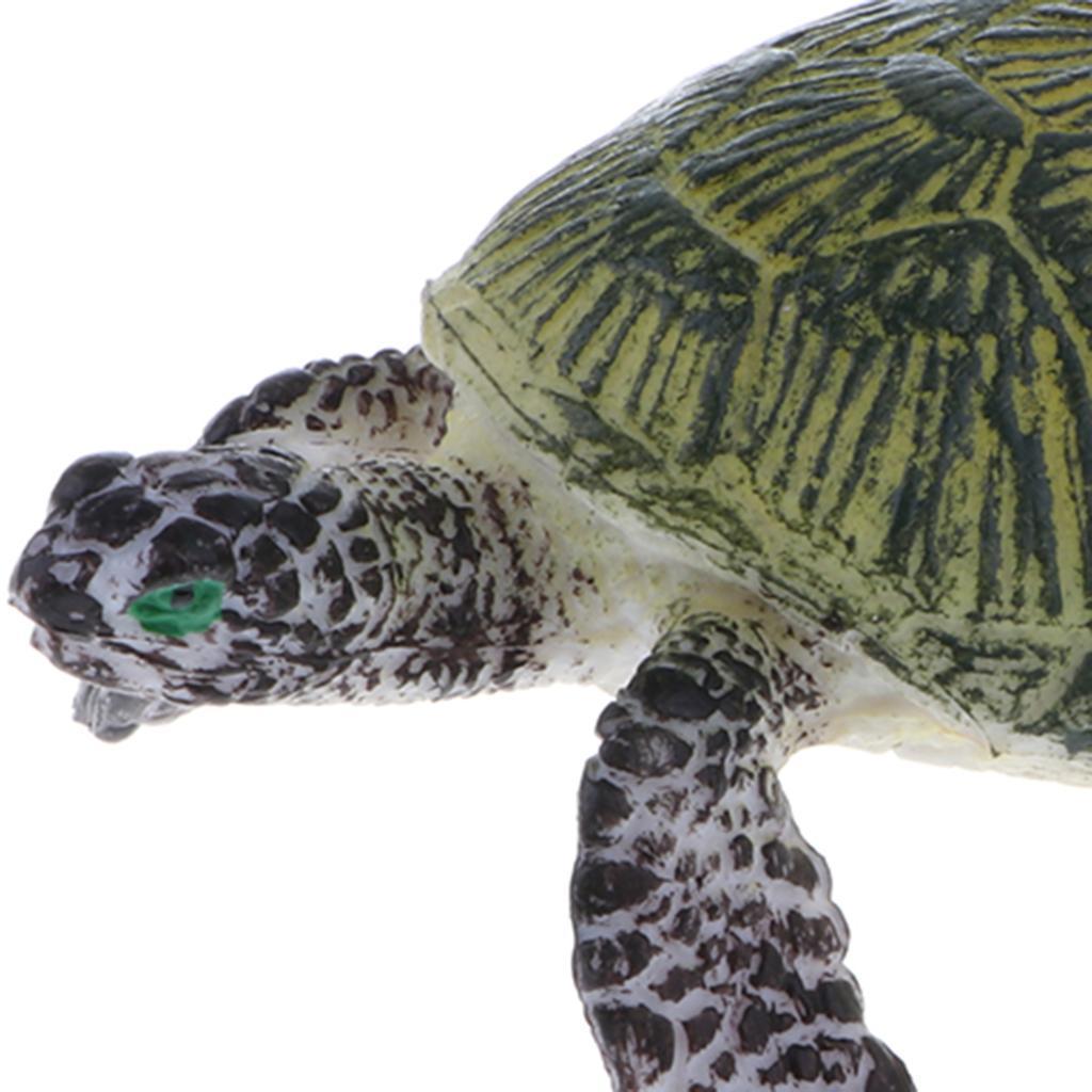 realistic turtle toy