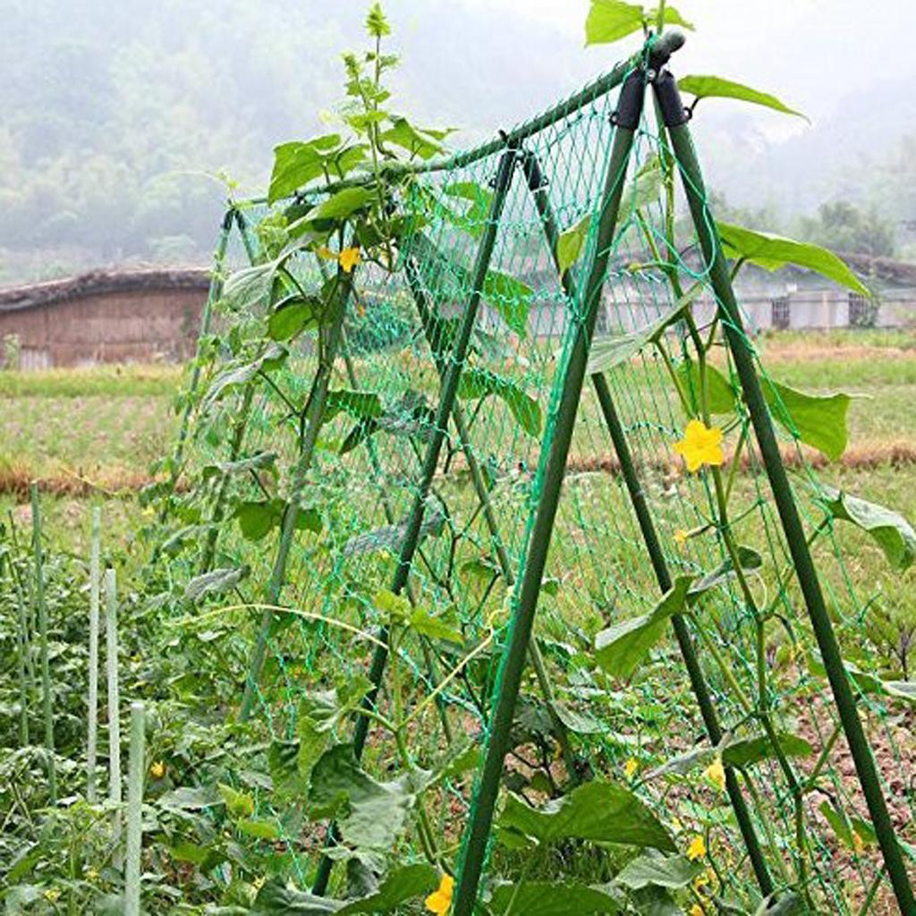 Strong Nylon Trellis Netting Net Plant Support for