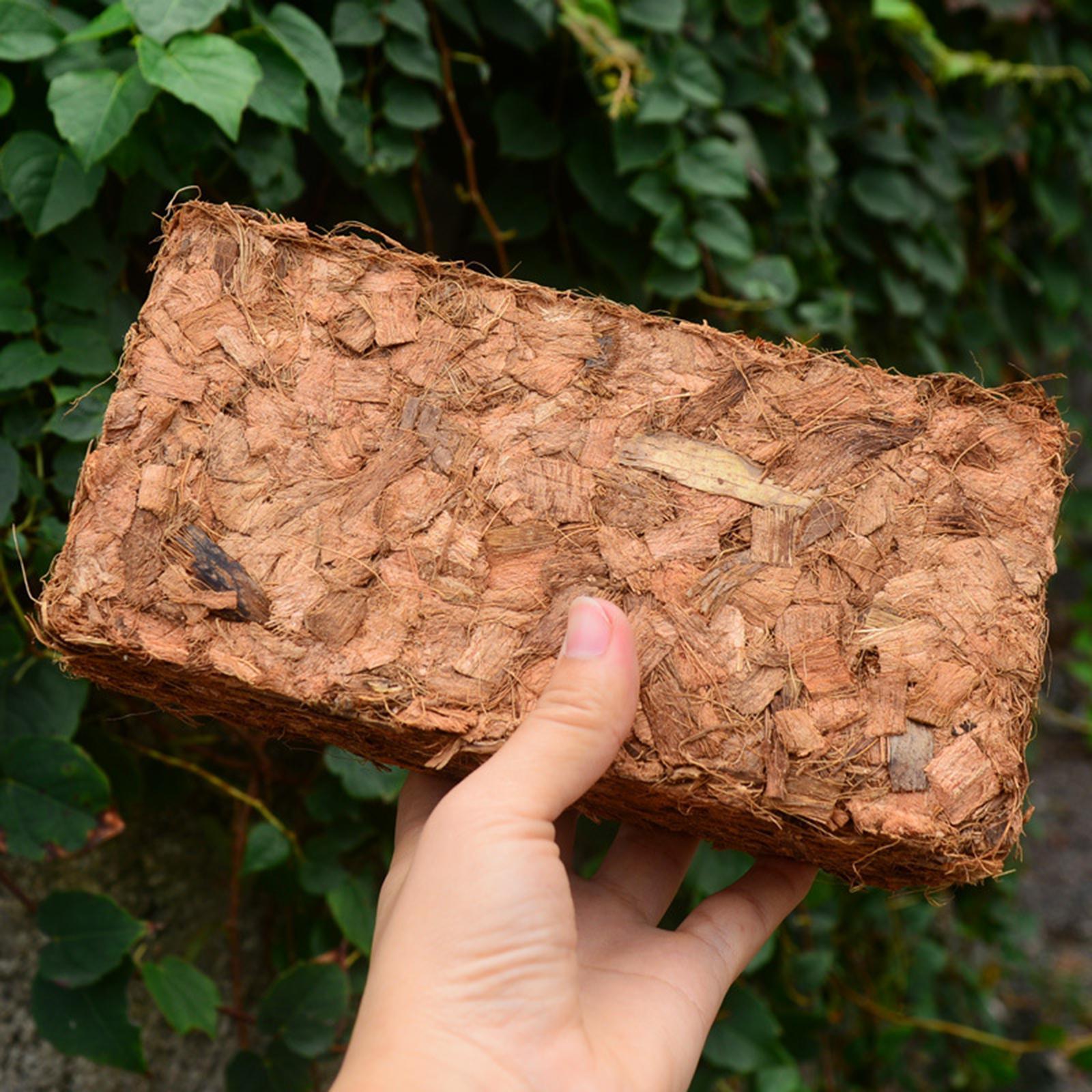 Premium Organic Coco Coir Brick Growing Potting Soil Coconut Shell Brick