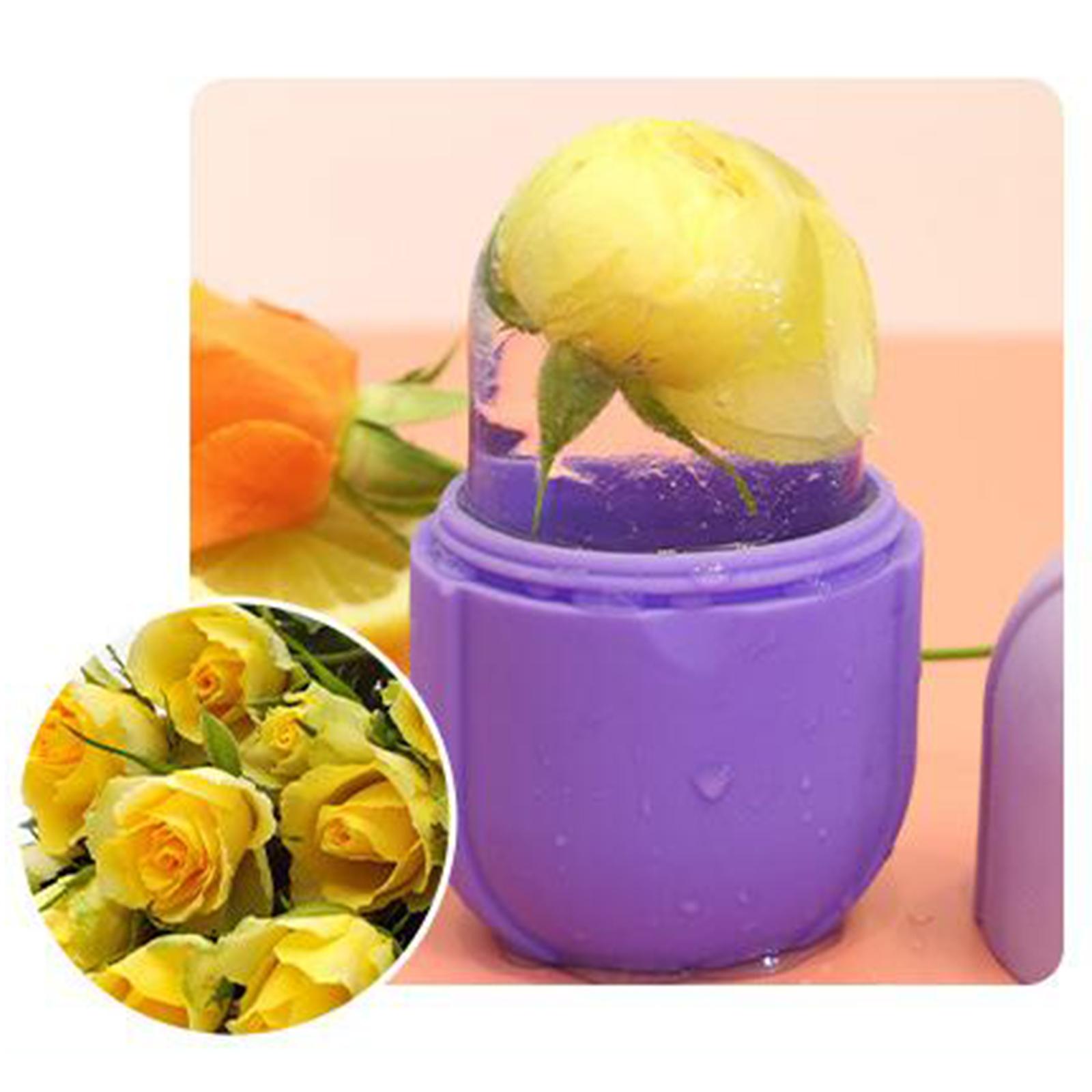 2x Ice Massage Cups Cold Massage Roller Tool Freezable for Muscle 