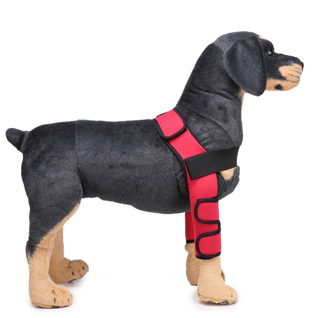 Kniebandage Bein Bandage Neopren Knieschutz mit Halsträger für Hund eBay