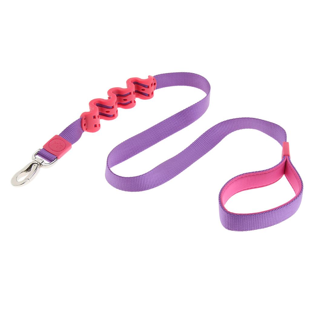 Pet Dog Walking Training Belt Bungee Leash Anti-Shock Stretch Rope Purple