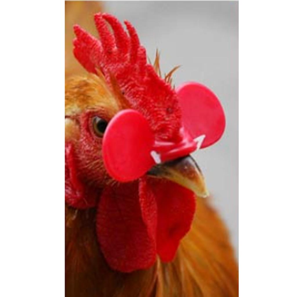 500x Chicken Pinless Peepers Poultry Blinders Spectacles Anti-Pecking 7cm