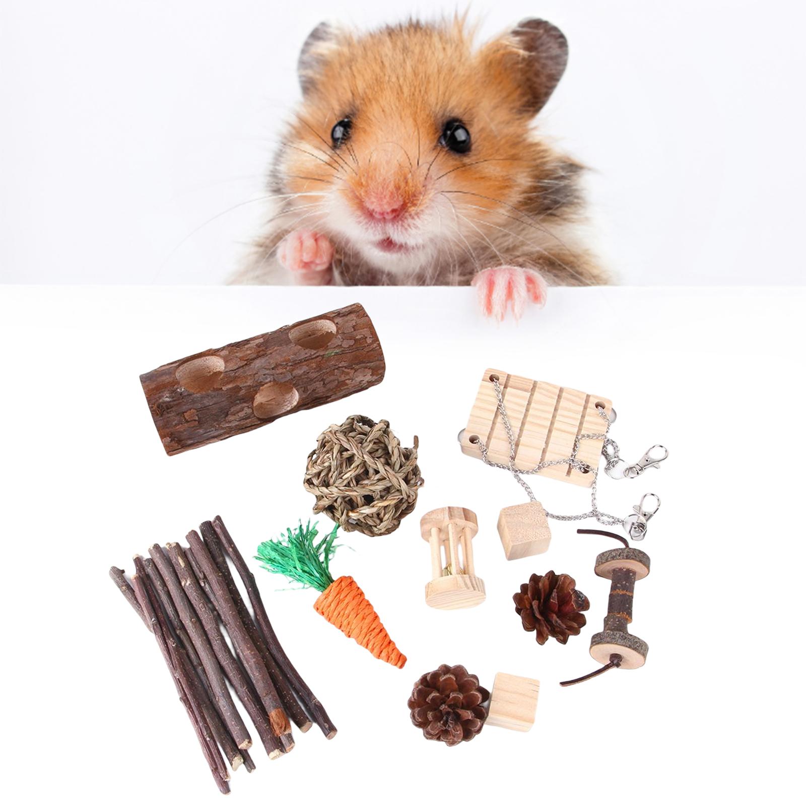 11x Hamster Chew Toys Set Teeth Grinding Toy Wood Dumbbell Playing Exercise