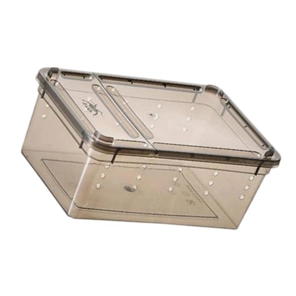 Reptile Feeding Box