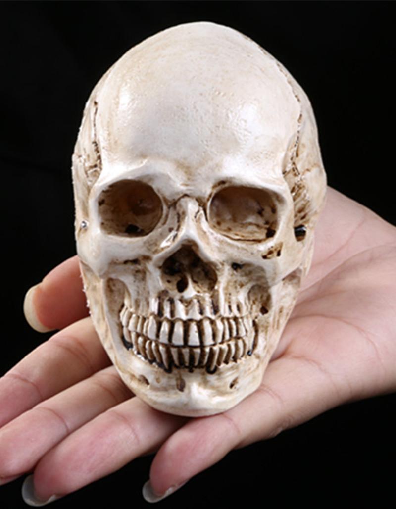 Resin Retro Human Skull Skeleton Replica Model Medica Party Bar Prop White