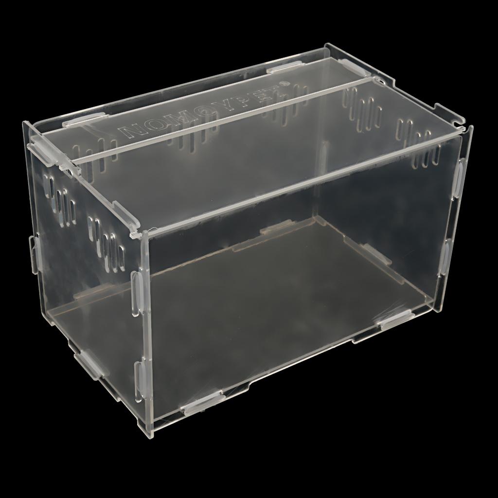 Acrylic Box Crawler Spider Scorpion Centipede Insect Feeding Insect Box - S