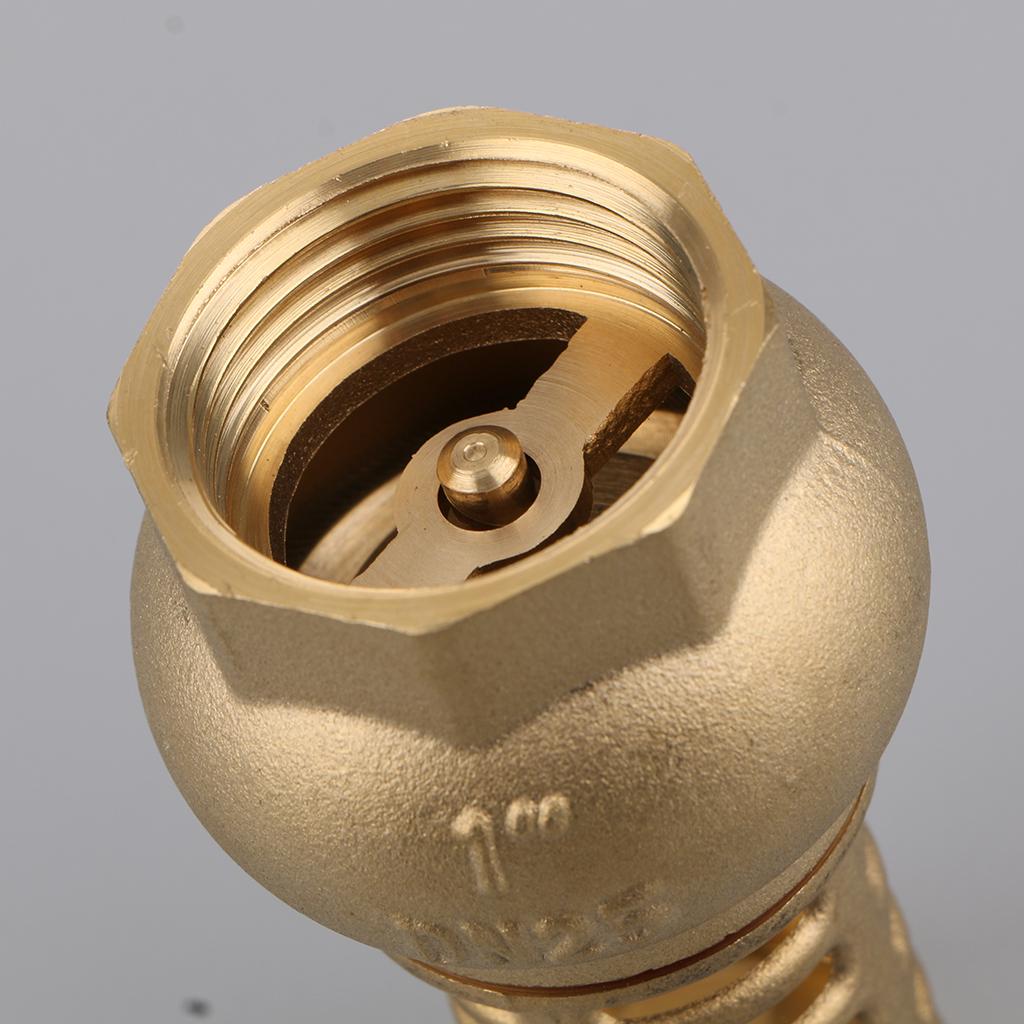 Heavy Duty Brass Foot Valve Female Threaded Water Pump Bottom Valve DN25