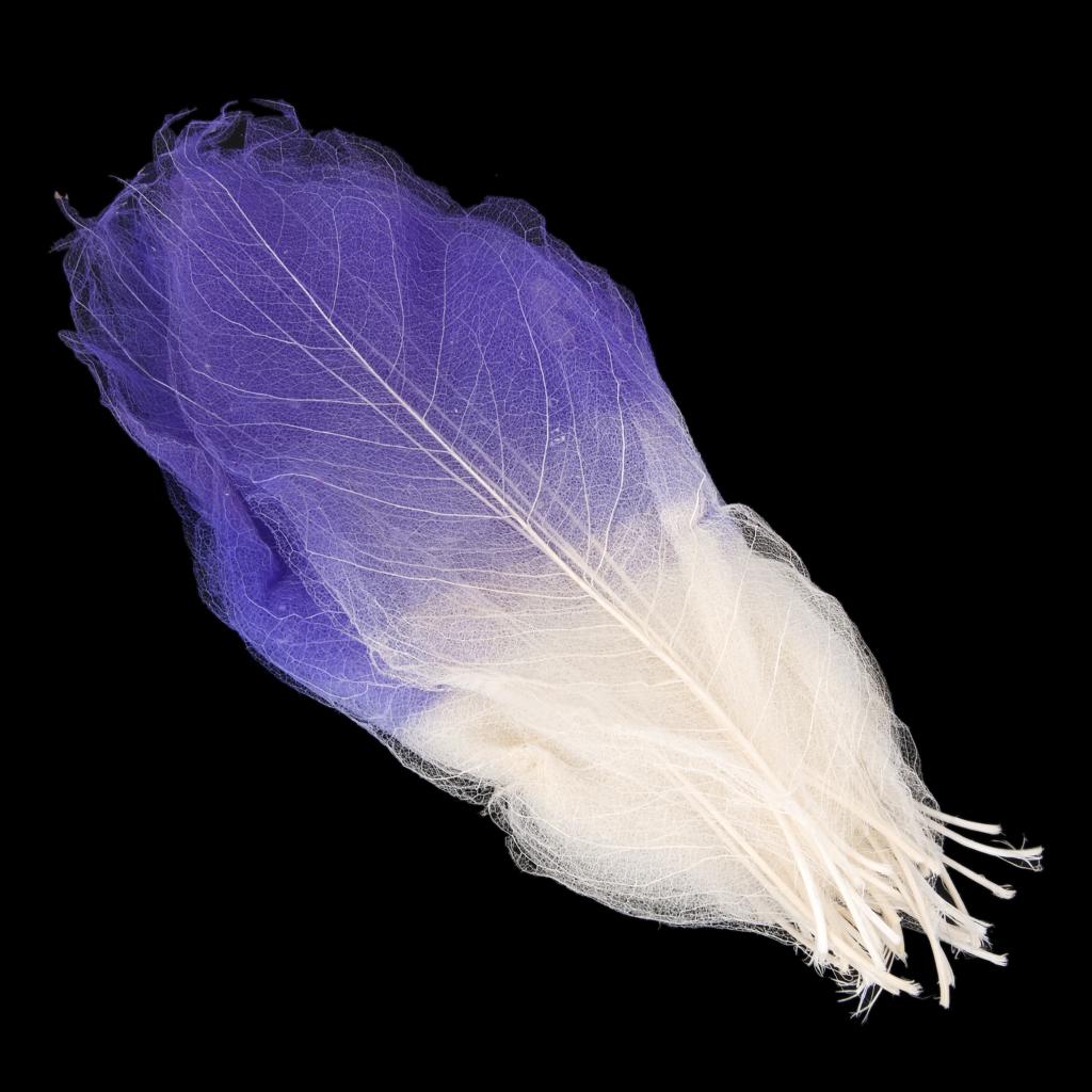 150Pcs Natural Magnolia Skeleton Leaf Leaves Scrapbook Bookmarks Craft Supplies