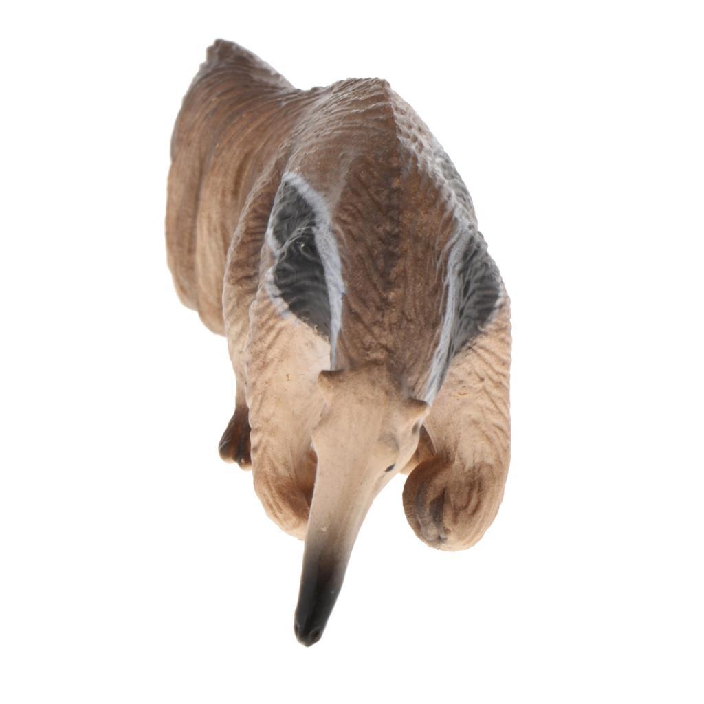Simulation Animal Model Kids Educational Toys anteater PL127-1435